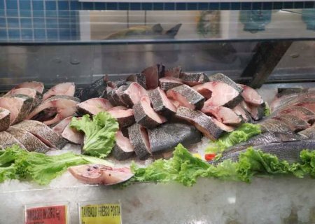 Quaresma impulsiona venda de pescados no varejo e consumo deve aumentar 30%