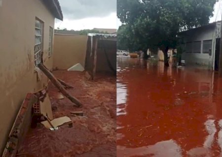 Cachorro morre afogado após chuva alagar casas em Campo Grande | G1