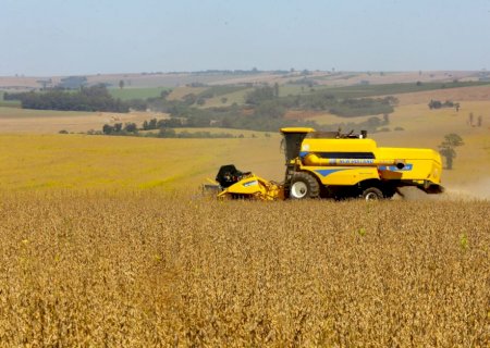 Colheita de soja e milho avança no Paraná sob contraste climático