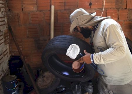 Boletim Epidemiológico: MS registra 79 casos confirmados de dengue