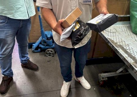 Apreensões de canetas emagrecedoras e produtos irregulares superam R$ 5 milhões em MS
