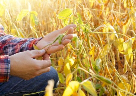 Debate sobre modernização da jornada de trabalho exige transição que preserve emprego e produtividade no agro