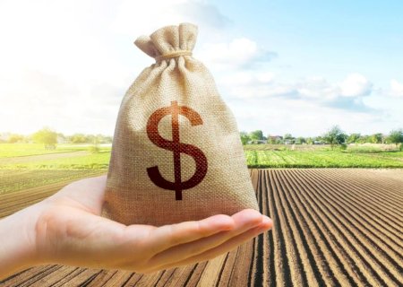 Crédito rural cresce 6% e atinge R$ 316,57 bilhões para o período da safra 2025/2026