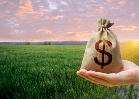 Produtor é forçado a buscar novas alternativas de crédito rural, com Selic a 15%
