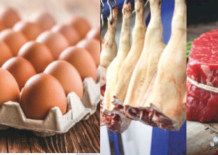 Coreia do Sul sinaliza avanços para importação de ovos, carne suína e bovina do Brasil