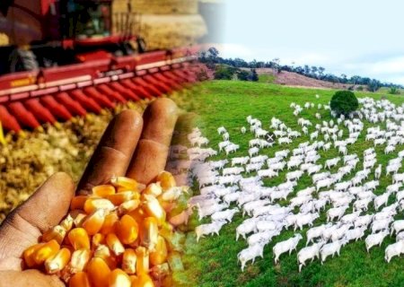 Banco Central: Agropecuária dispara e puxa crescimento da econômica brasileira em 2025