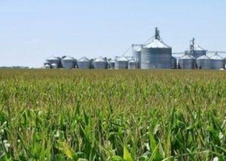 Brasil pode ser protagonista na produção de etanol de milho | Brasilagro