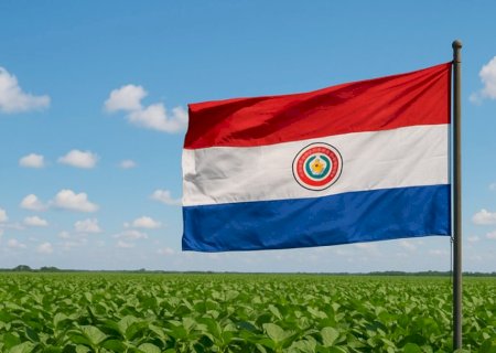 Produção de soja no Paraguai pode bater recorde e chegar a 11,53 milhões de toneladas