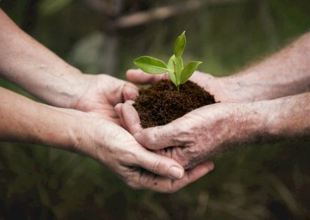 Meio ambiente: fluxo global de recursos amplia riscos climáticos e econômicos