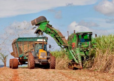 Etanol se consolida como principal aposta das usinas na safra 26/27