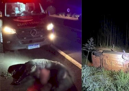 Javali invade pista e provoca capotamento na BR-276