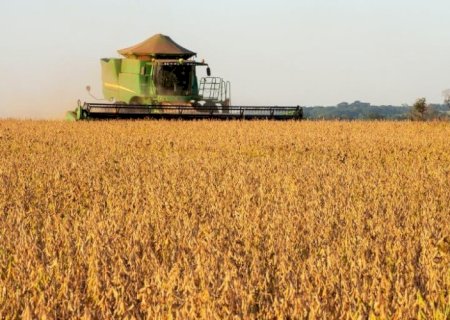 Conab anunciou aumento na previsão para safra 25/26 de soja do Brasil