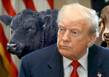 Trump amplia importações de carne bovina da Argentina e deixa Brasil em alerta