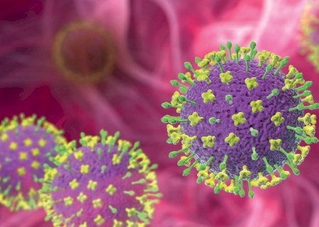 Vírus Nipah: alerta global reforça uma das maiores lições da pandemia de covid-19