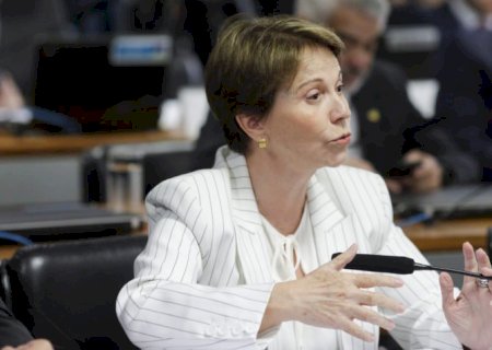Flávio Bolsonaro vem ganhando musculatura, diz Tereza Cristina