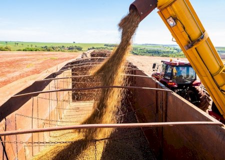 Safra recorde pressiona logística e expõe desafios no escoamento da produção