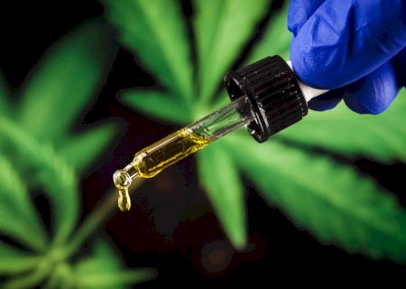 Cannabis medicinal não mostra eficácia contra ansiedade e depressão, segundo nova pesquisa