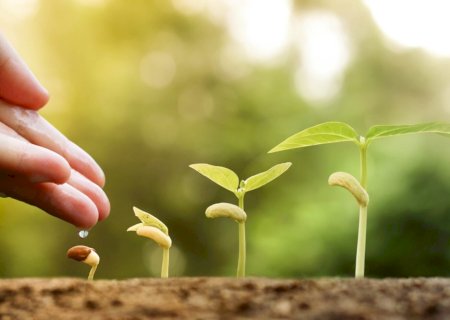 Crédito rural empresarial cresce 7% no início do Plano Safra 2025/2026
