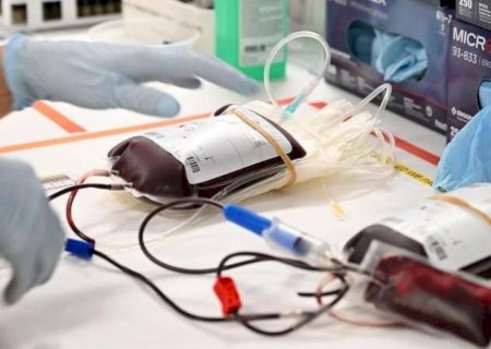 As novas regras das Testemunhas de Jeová para transfusão de sangue