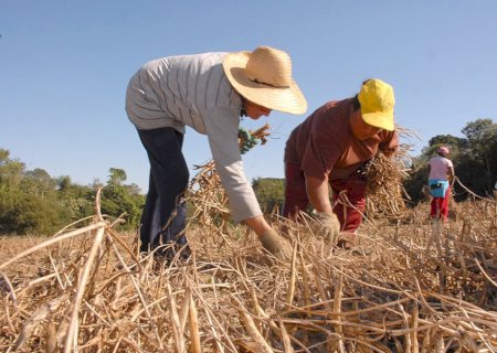 Sistema de inspeção sanitária se expande e fortalece agroindústria de pequeno porte