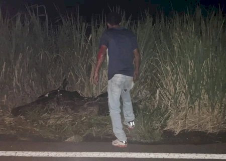 Motociclista sofre queda de moto na MS-395, entre Bataguassu e Anaurilândia