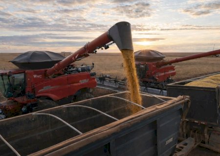 Com safra robusta, Brasil deve ampliar oferta de soja ao mercado internacional