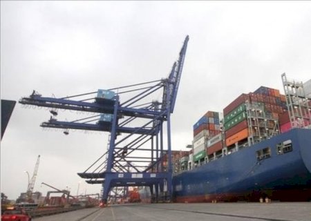 Carne: Brasil já exportou à China mais de 30% da cota prevista para 2026