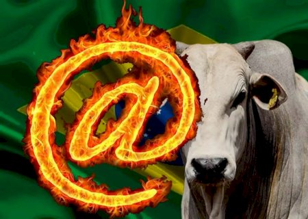 Arroba do boi gordo perde força e pecuaristas seguram vendas em meio à guerra no Oriente Médio