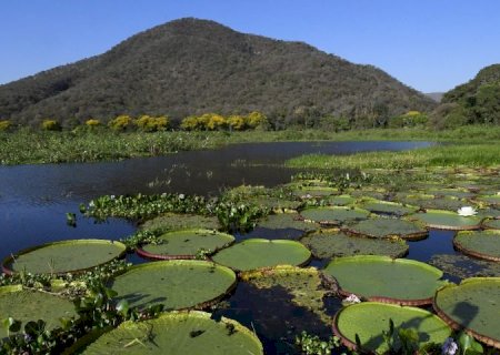 Mato Grosso do Sul é o único estado a implementar todos os instrumentos da governança climática