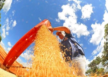 MS só consegue armazenar 48,4% da produção de grãos