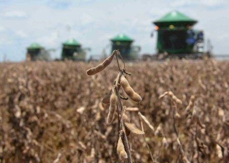 Previsão de trimestre quente e seco pode impactar produção agrícola no Estado