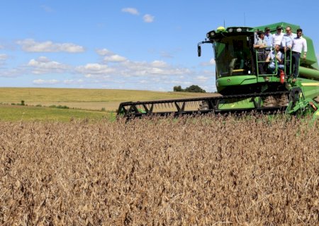 Conab: colheita de soja 2025/26 atinge 59,2%