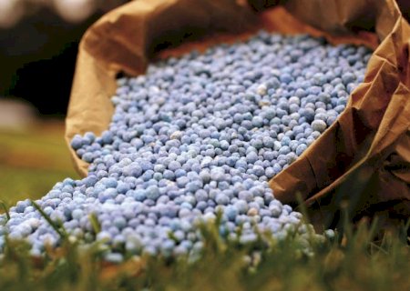 Fertilizantes nitrogenados e fosfatados seguem com preços pressionados