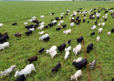 PIB do agro em MS teve o melhor desempenho do país em 2025