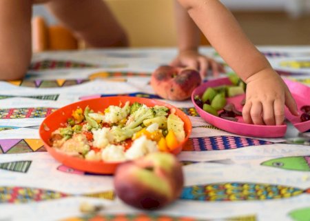 Saiba quais são os pontos de atenção na dieta de crianças vegetarianas e veganas