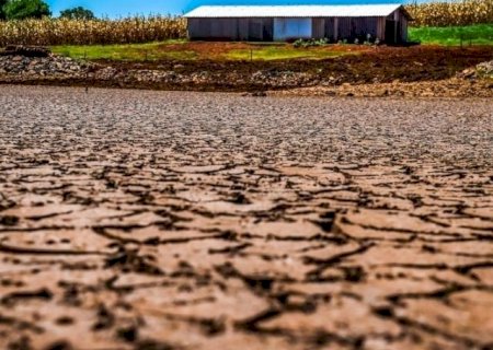 Produtores pressionam por mudanças no seguro rural diante de perdas climáticas