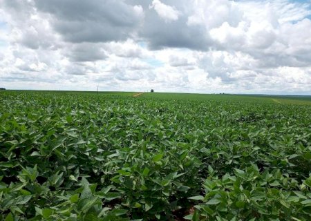 Importação de fertilizantes cai em MS e dólar pressiona custo da safra 2026