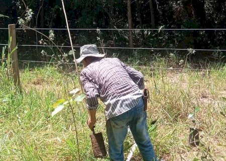 Taquarussu: SEMAT inicia recuperação de nascentes e reforça compromisso com o meio ambiente