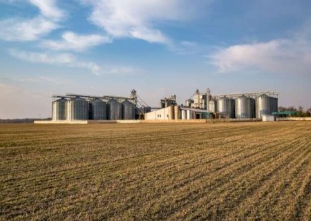 Venda da soja chega a 32,5% e produtores adotam cautela diante de incertezas
