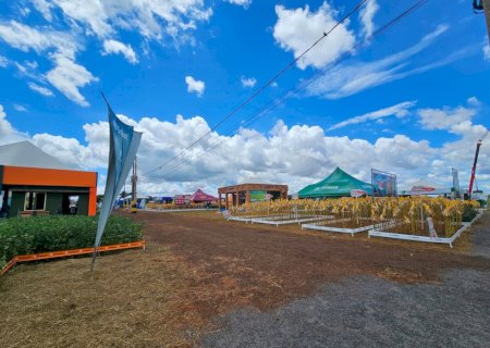 Tecnologia no campo impulsiona produtividade e posiciona MS entre os estados mais avançados do agro
