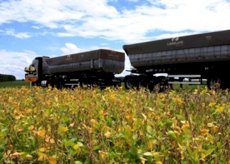 Escoamento da soja faz fretes oscilarem entre queda de 8% e alta de 33% em MS