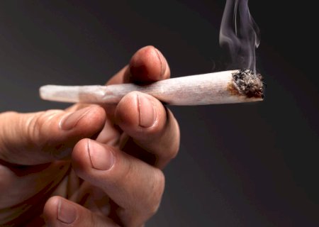 Maconha pode deixar marcas no cérebro, indica estudo | Cannabis & Cia