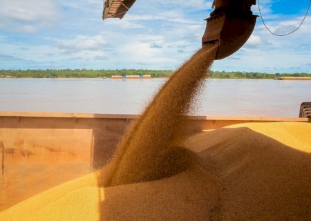 Brasil e China iniciam negociações sobre inspeção da soja após queixas de exportadores