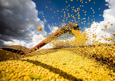 Atrasos na colheita da soja elevam risco para milho safrinha no Brasil