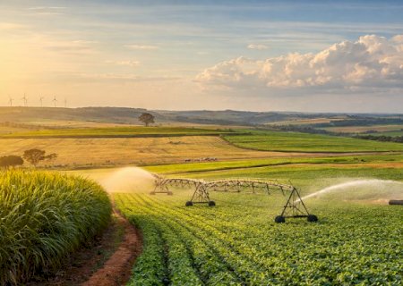 Por que o próspero agro vive uma escalada de recuperações judiciais?