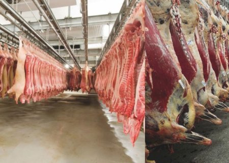 Diferença entre carcaças bovina e suína atinge R$ 14,26 por quilo