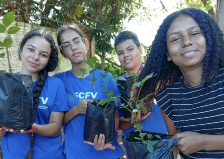 Projeto Arboriza Via avança com nova turma e amplia cultivo de mudas em Batayporã