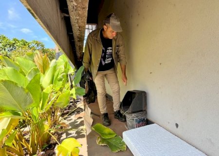 Boletim Epidemiológico: MS registra 2.102 casos confirmados de chikungunya