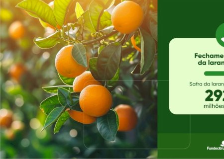 Safra de laranja 2025/26 é encerrada com produção total de 292,94 milhões de caixas