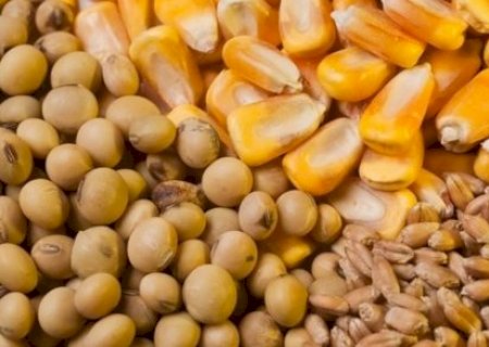 Brasil lidera uso de bioinsumos, mas fertilizantes convencionais seguem indispensáveis